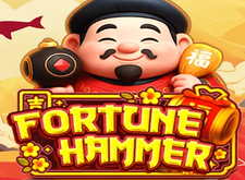 Fortune Hammer
