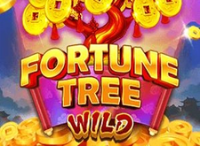 Fortune Tree Wild preview
