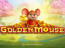 Golden Mouse