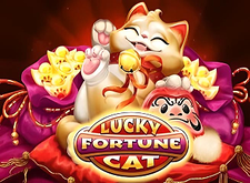 Habanero Lucky Fortune Cat