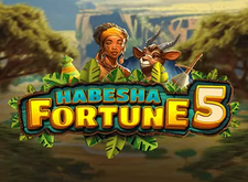 Habesha Fortune 5