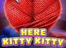 Here Kitty Kitty