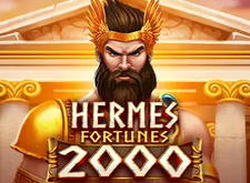 Hermes Fortunes 2000 Clover Chance