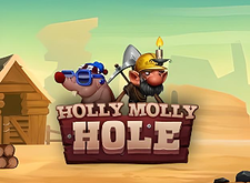 Holly Molly Hole