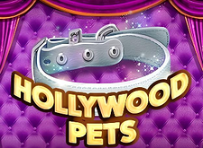 logotipo de Hollywood Pets