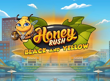 Honey Rush Black and Yellow