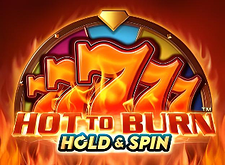 Hot to Burn Hold and Spin Logo