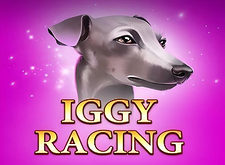 логотип Iggy Racing