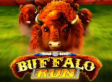 Intervision Gaming Buffalo Run