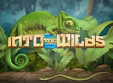 logotipo de Into The Wilds