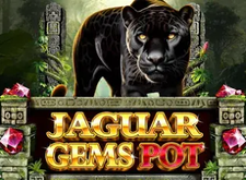 Jaguar Gems Pot