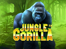 Jungle Gorilla
