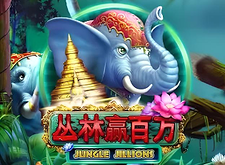 Jungle Jillions logo