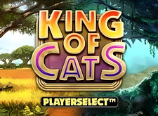 King of Cats