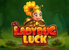 Ladybug Luck
