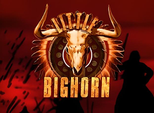 Little Bighorn