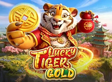 Lucky Tiger Gold