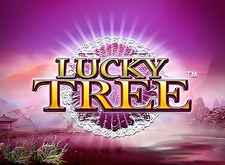 Lucky Tree