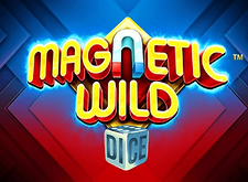 Magnetic Wild Dice logo