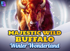 Majestic Wild Buffalo Winter Wonderland