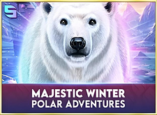 Majestic Winter Polar Adventures