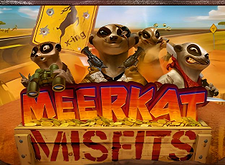 Meerkat Misfits