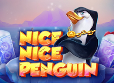 Nice Nice Penguin preview