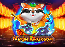 Ninja Raccoon