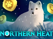 logotipo de Northern Heat
