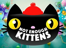 Not Enough Kittens
