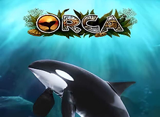 Orca preview
