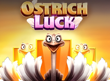 Ostrich Luck logo