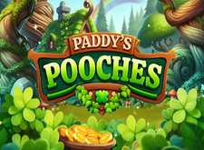 Paddys Pooches preview