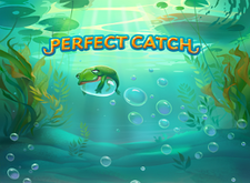 Perfect Catch logo