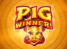 Pig Winner