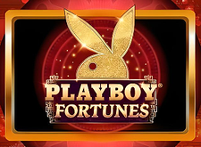 Playboy Fortunes preview