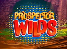 logotipo de Prospector Wilds