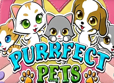 logotipo de Purrfect Pets