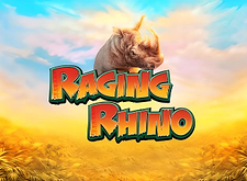 Raging Rhino preview