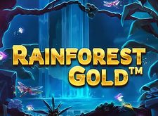 Rainforest Gold