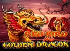 Red Bird and Golden Dragon