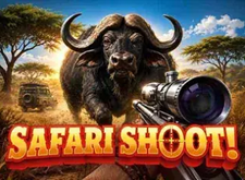 Safari Shoot