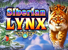 Siberian Lynx