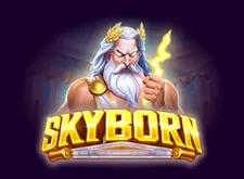 Skyborn logo