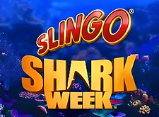logotipo de Slingo Shark Week