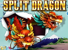 Split Dragon logo