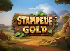 Stampede Gold