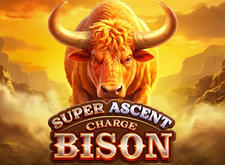 Super Ascent Charge Bison