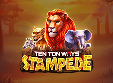 Ten Ton Ways Stampede preview