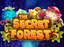 The Secret Forest